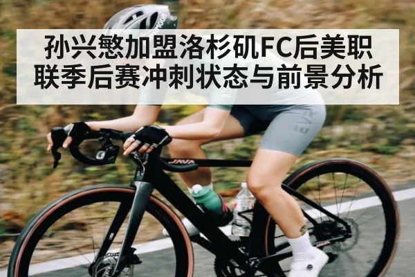 孙兴慜加盟洛杉矶FC后美职联季后赛冲刺状态与前景分析（kaiyun）